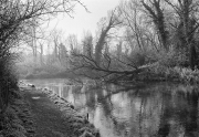 River-Arle-2-Nik